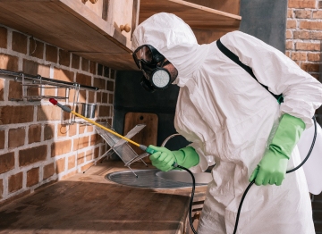 Quienes Somos | Abecor